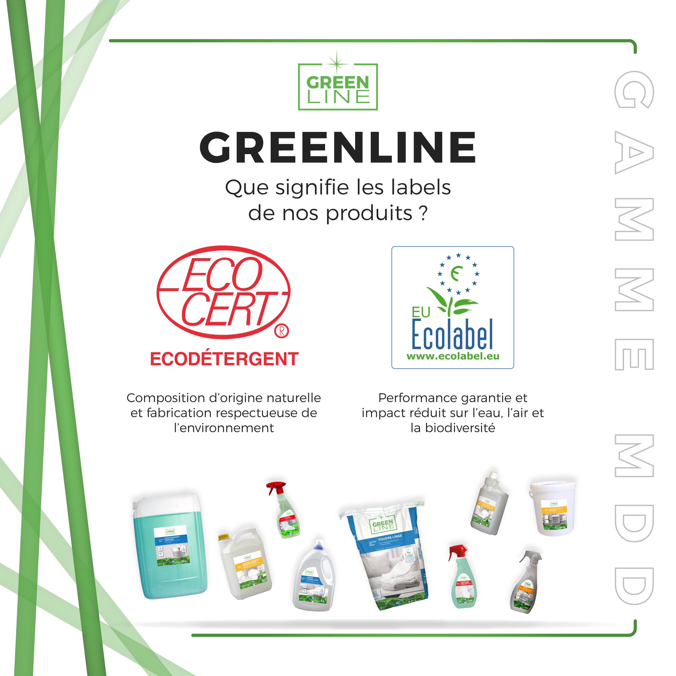 🌱 Green Line : des solutions d'hygiène respectueuses de l’environnement 🌱